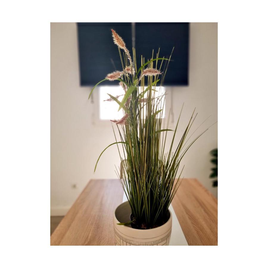 Apartamento Con Sol De Paz トレモリノス エクステリア 写真